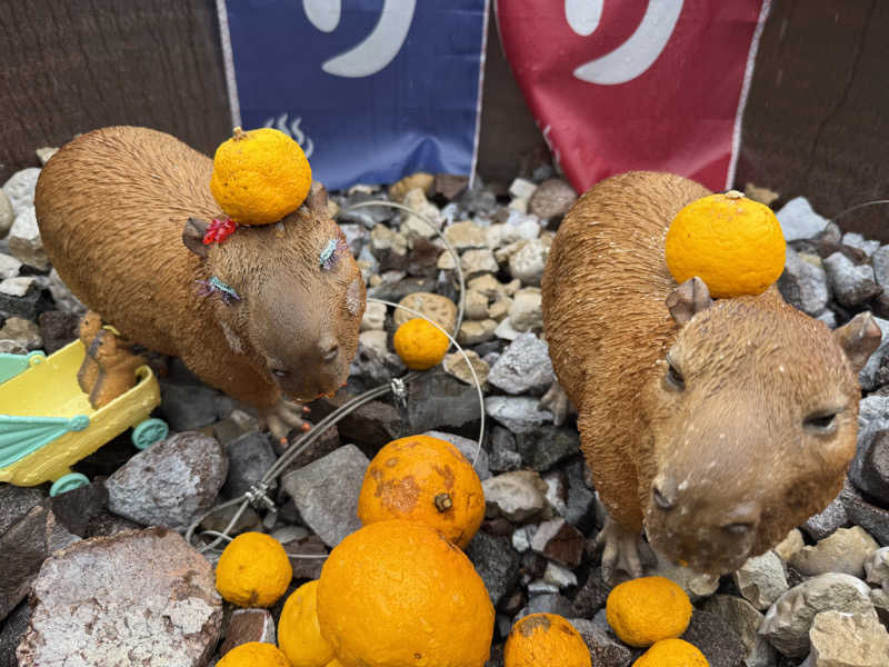 T.Jさんの富士山天然水SPA サウナ鷹の湯のサ活写真