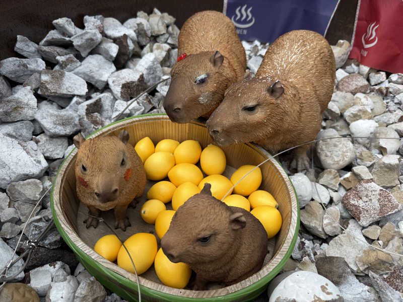 T.Jさんの富士山天然水SPA サウナ鷹の湯のサ活写真