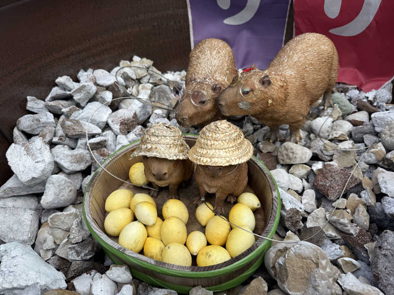 T.Jさんの富士山天然水SPA サウナ鷹の湯のサ活写真