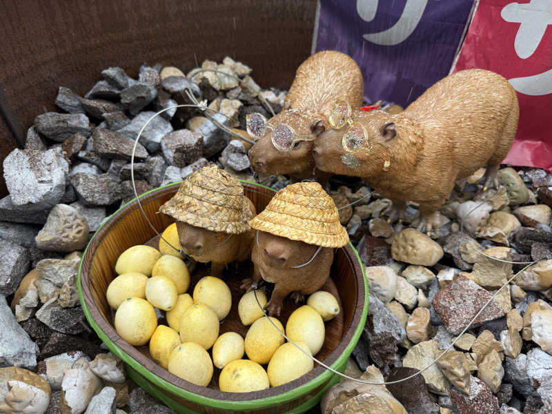 T.Jさんの富士山天然水SPA サウナ鷹の湯のサ活写真