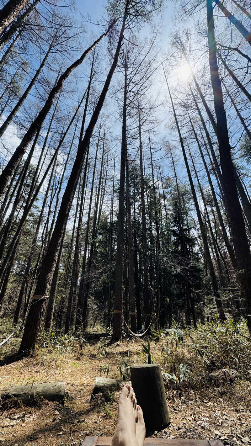 AOBAさんのFOLKWOOD SAUNAのサ活写真