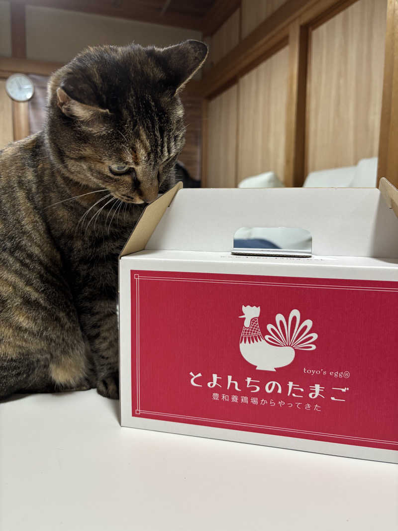 ねっこさんのおふろcafé かりんの湯のサ活写真