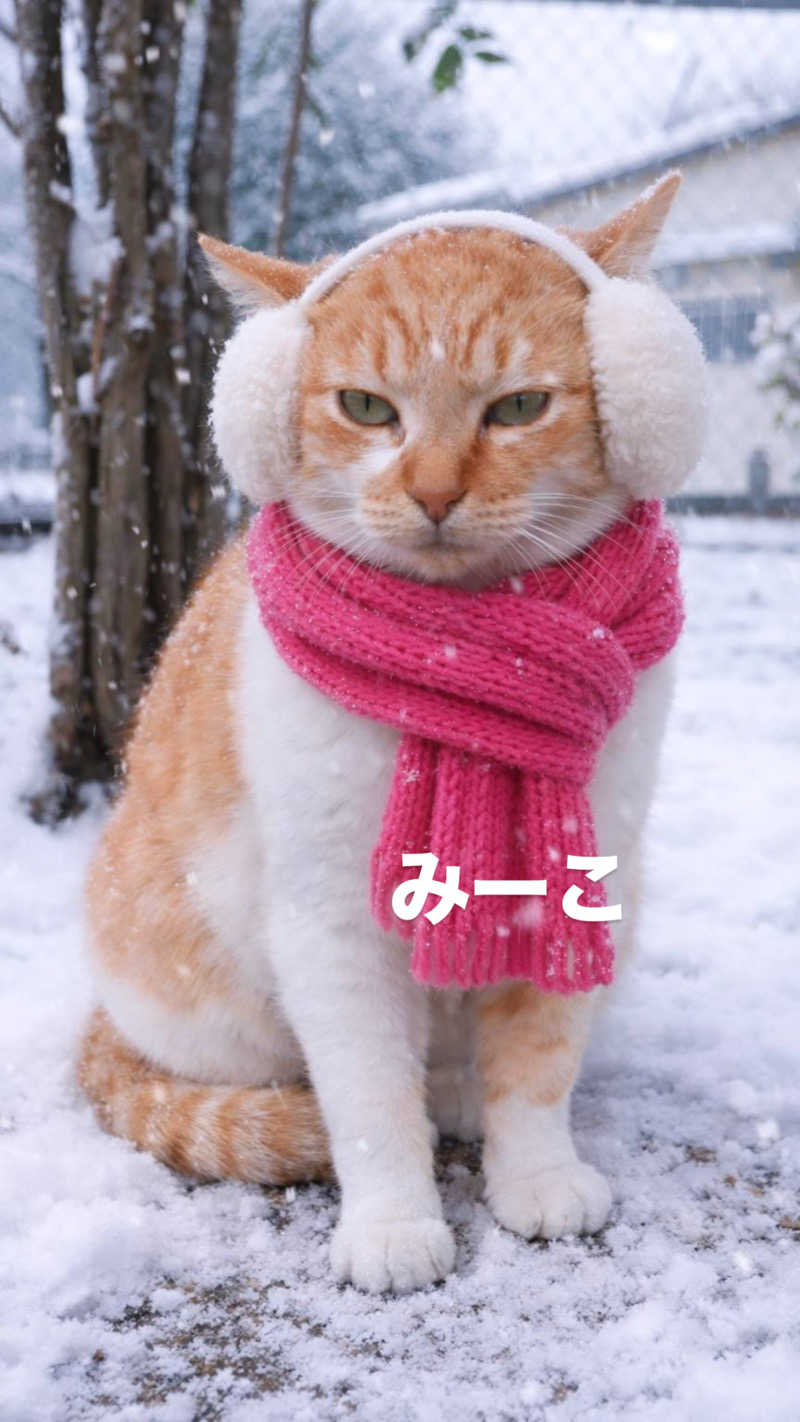 ねっこさんのおふろcafé かりんの湯のサ活写真