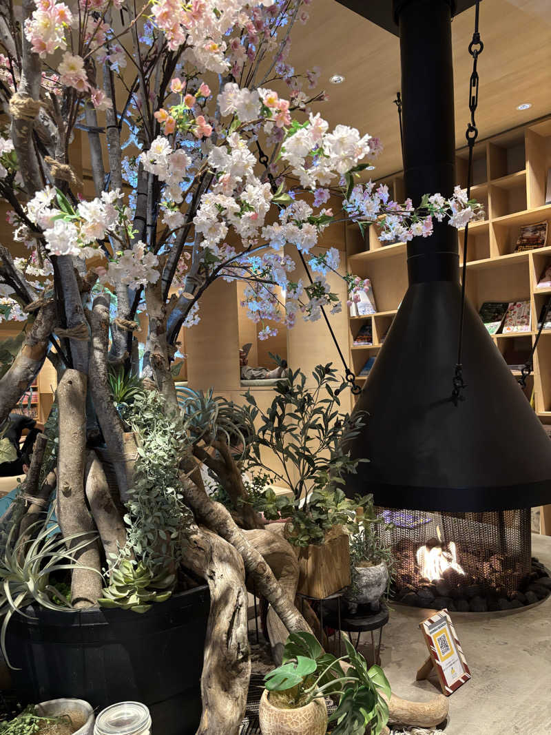 ねっこさんのおふろcafé かりんの湯のサ活写真