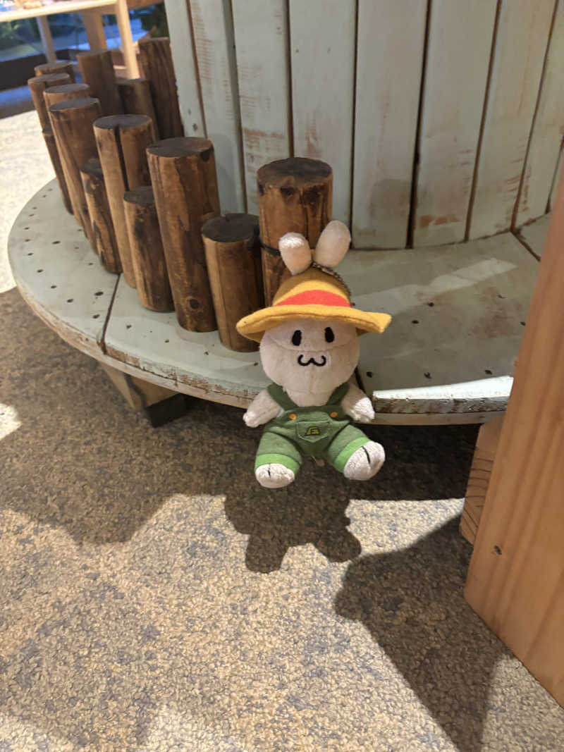 ねっこさんのおふろcafé かりんの湯のサ活写真