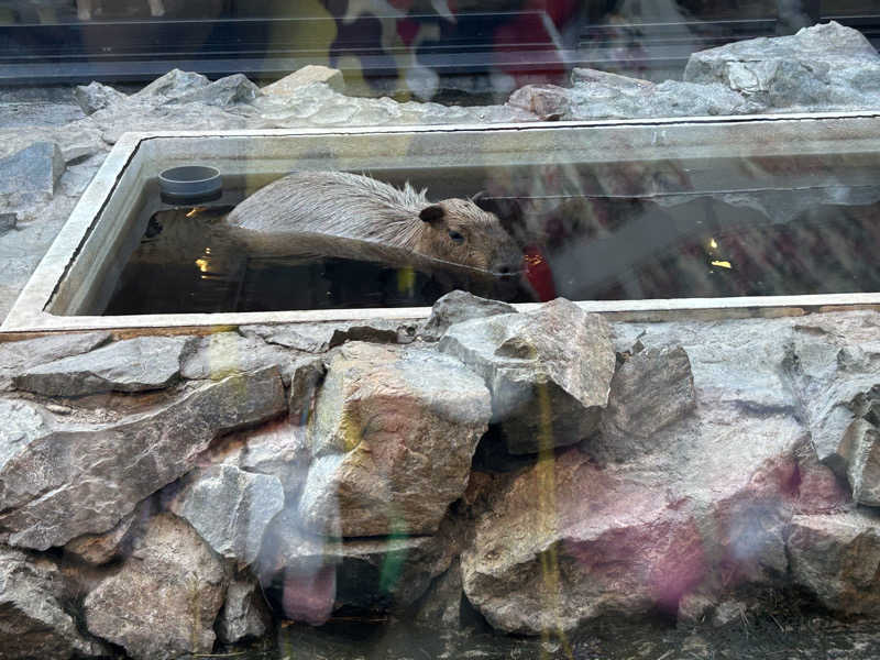 かたぎりさんの石狩天然温泉 番屋の湯のサ活写真
