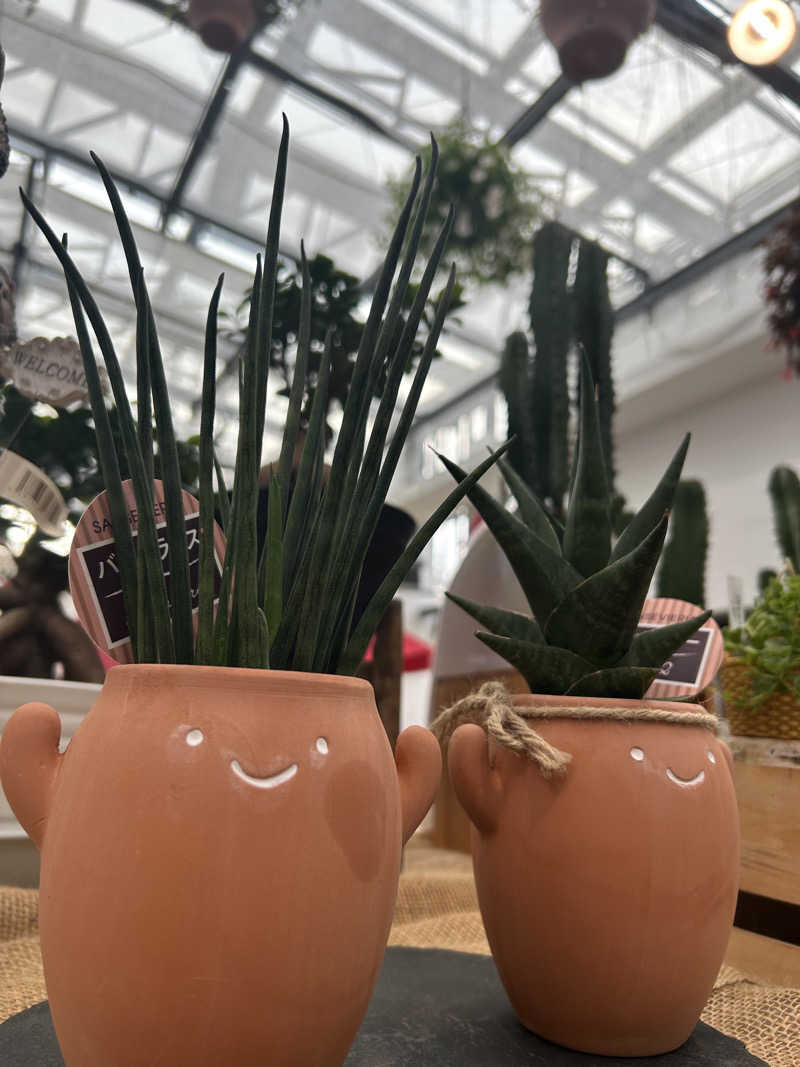 miruさんのよみうりランド眺望温泉 花景の湯のサ活写真