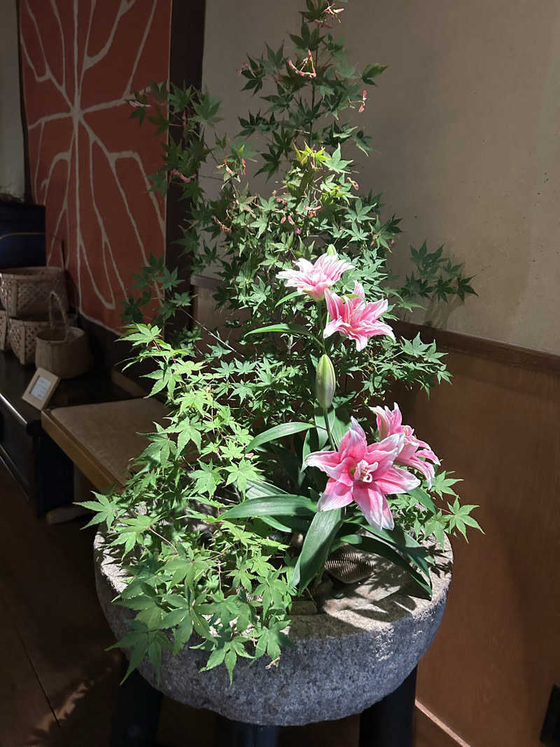 miruさんの陶泉 御所坊のサ活写真