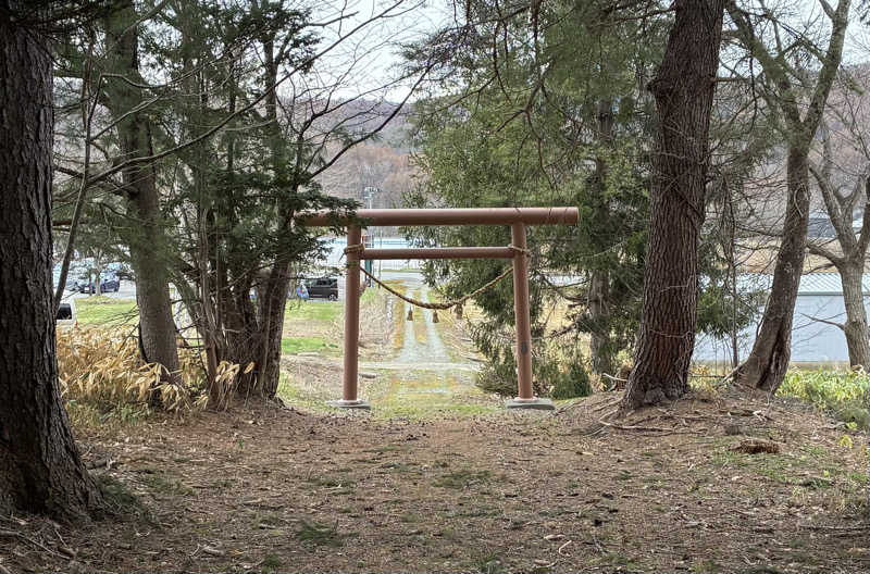 ととりさんのログホテル  ザ  メープルロッジのサ活写真