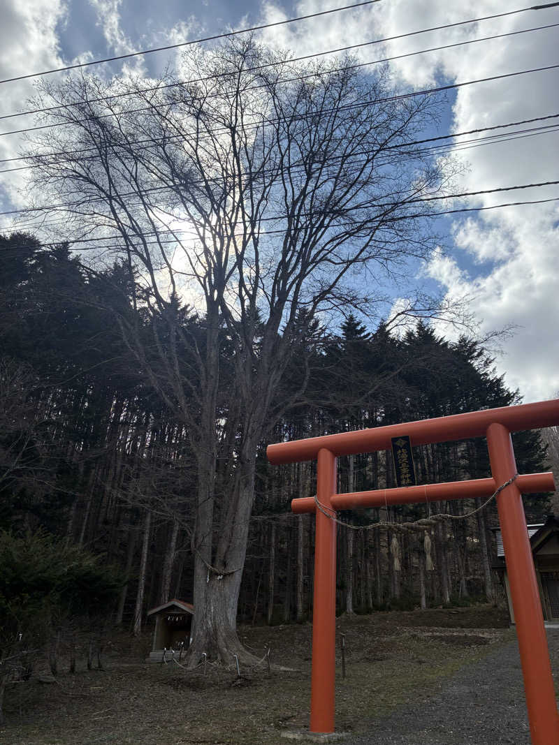 ととりさんの北湯沢温泉郷 湯元ホロホロ山荘のサ活写真