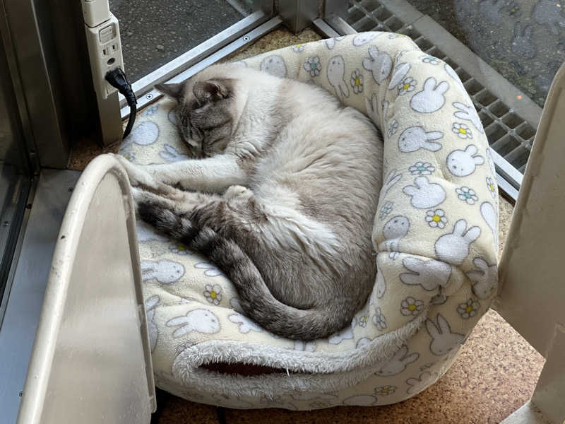 kitさんの花園温泉のサ活写真