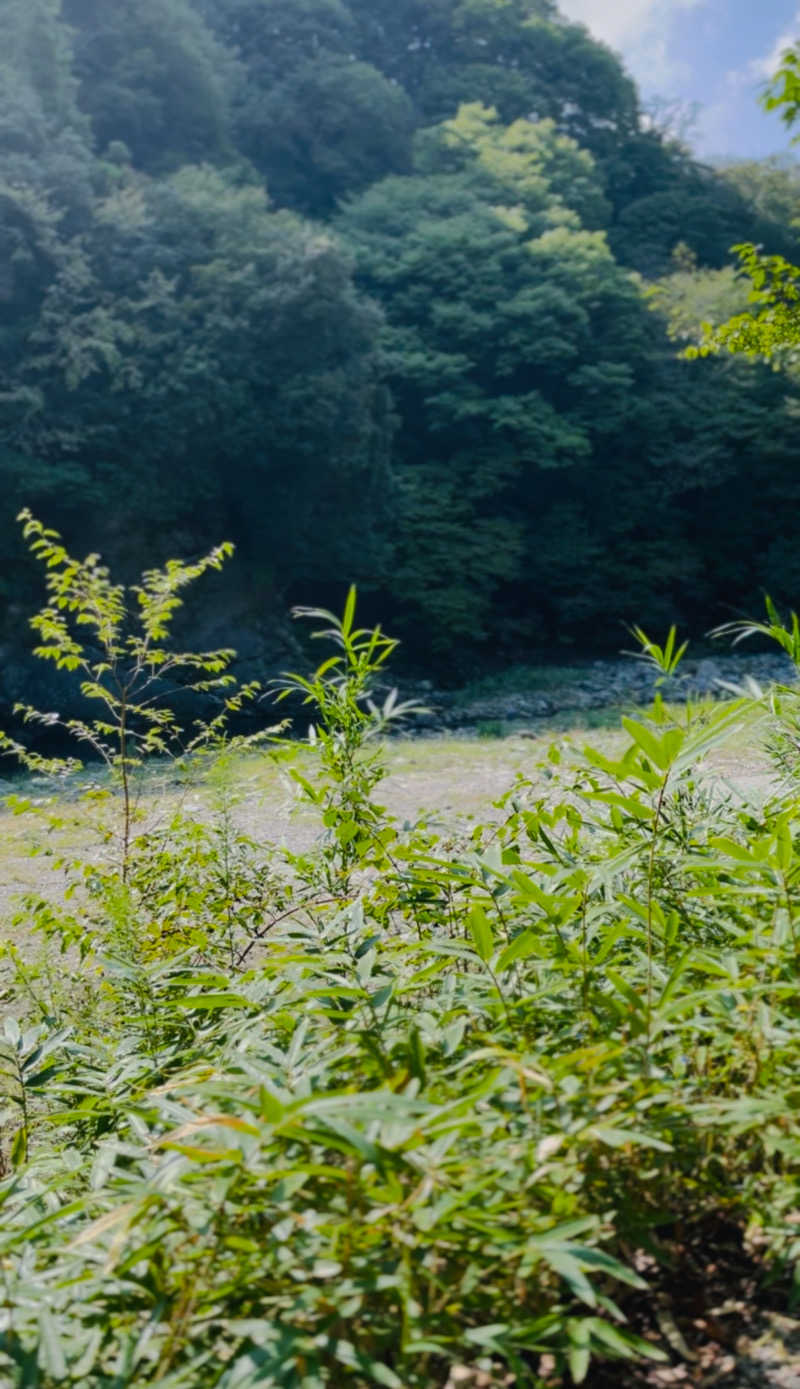 TAKさんのDAICHI silent riverのサ活写真