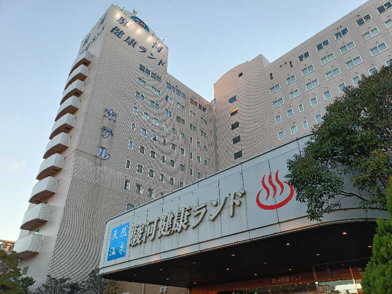 みやびんさんの駿河健康ランドのサ活写真