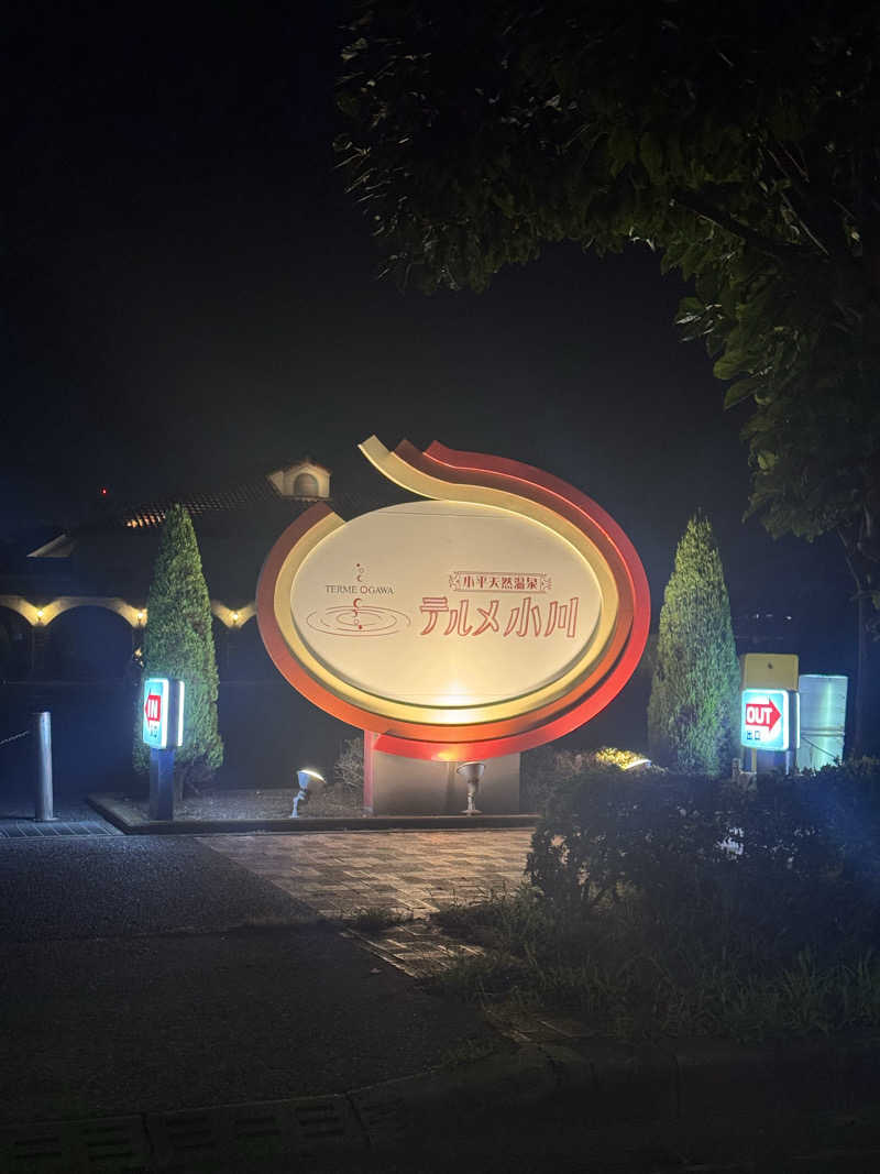 こうすけさんの小平天然温泉テルメ小川のサ活写真