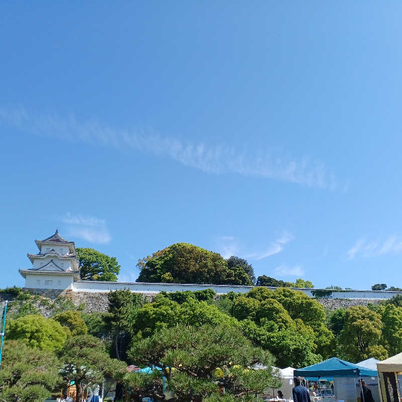 サウナ🌟ビギさんの野天風呂 あかねの湯 加古川店のサ活写真