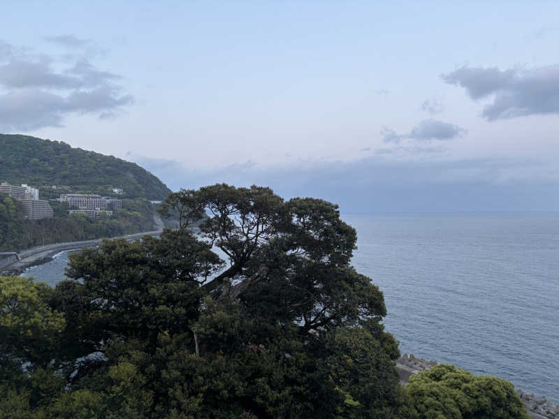 Jingさんの大江戸温泉物語 ホテル水葉亭のサ活写真