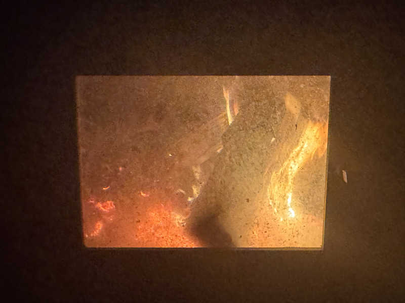 モンくまさんの達磨サウナのサ活写真