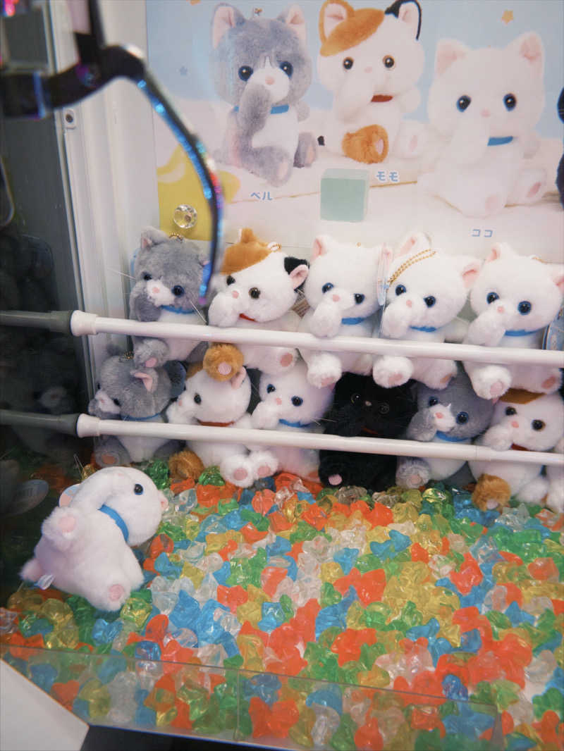 ︎︎︎︎❦𝔸𝕐𝔸𓆪.さんの石和健康ランドのサ活写真