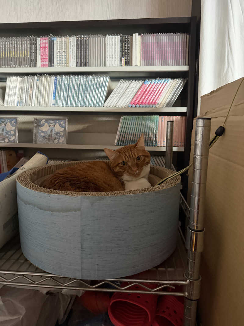 ︎︎︎︎❦𝔸𝕐𝔸𓆪.さんの竜王ラドン温泉のサ活写真