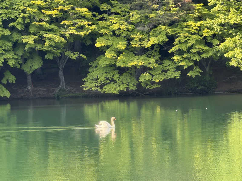 ︎︎︎︎❦𝔸𝕐𝔸𓆪.さんのかじかの湯のサ活写真