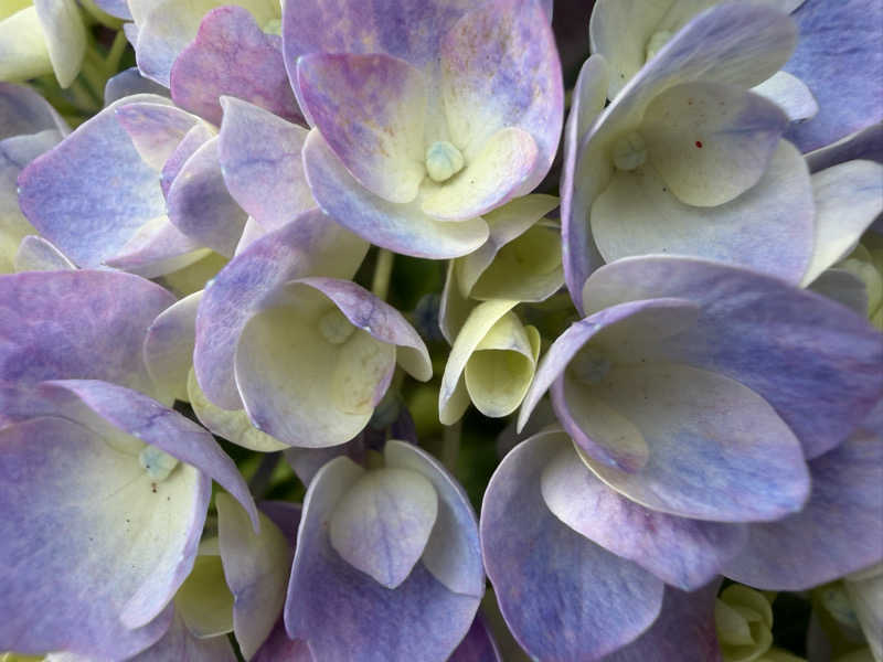 ︎︎︎︎❦𝔸𝕐𝔸𓆪.さんの甲州市交流保養センター 大菩薩の湯のサ活写真