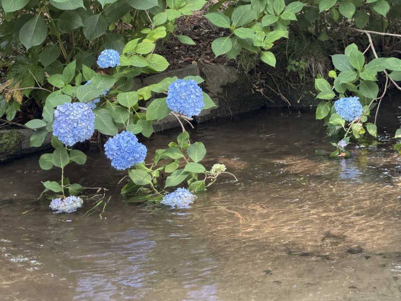 ︎︎︎︎❦𝔸𝕐𝔸𓆪.さんの甲州市交流保養センター 大菩薩の湯のサ活写真