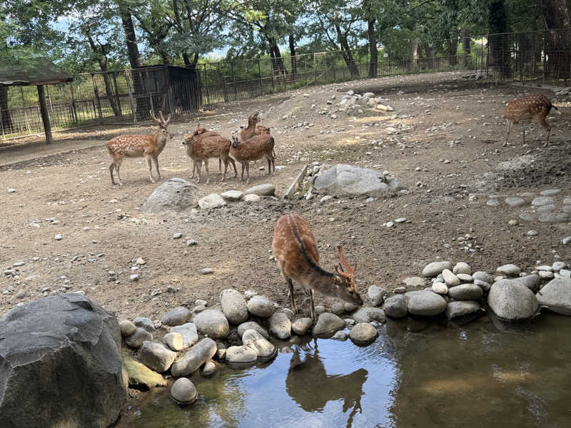 ︎︎︎︎❦𝔸𝕐𝔸𓆪.さんの甲州市交流保養センター 大菩薩の湯のサ活写真