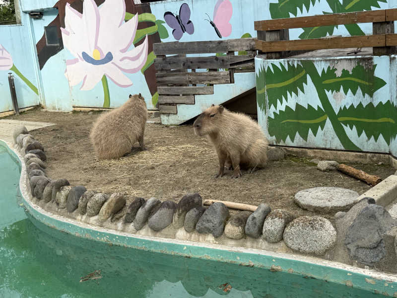 ︎︎︎︎❦𝔸𝕐𝔸𓆪.さんの甲州市交流保養センター 大菩薩の湯のサ活写真