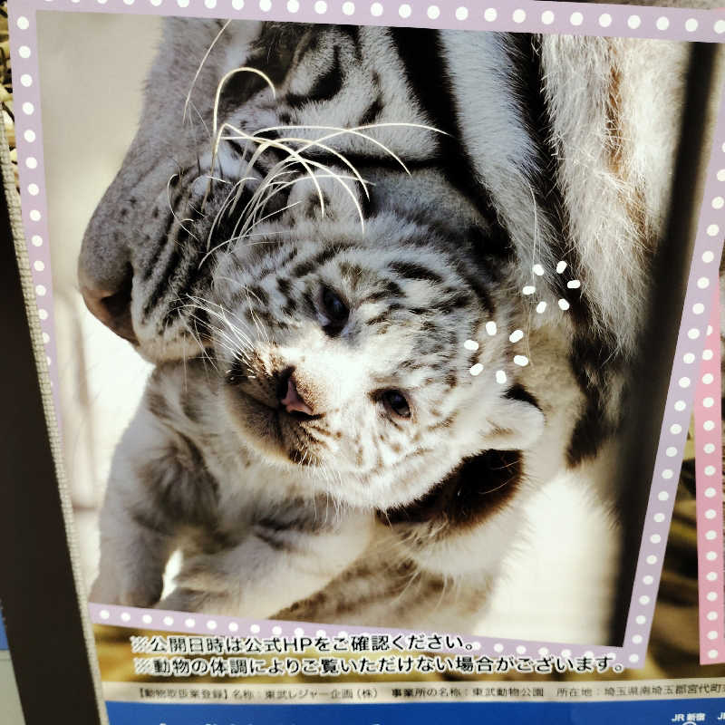 memecoさんの野天風呂 湯の郷のサ活写真