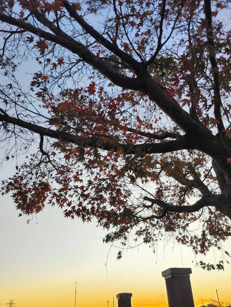 memecoさんの野天風呂 湯の郷のサ活写真