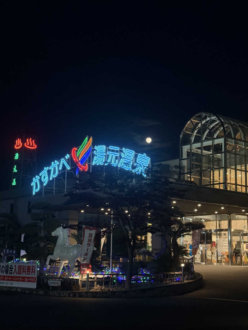 sauさんのかすかべ湯元温泉のサ活写真