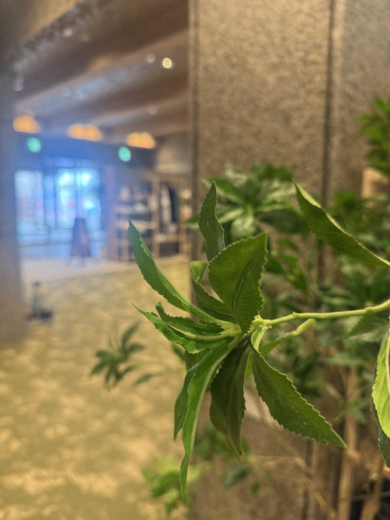 sauさんのSPA&ごはん ゆるうむ yuluumuのサ活写真
