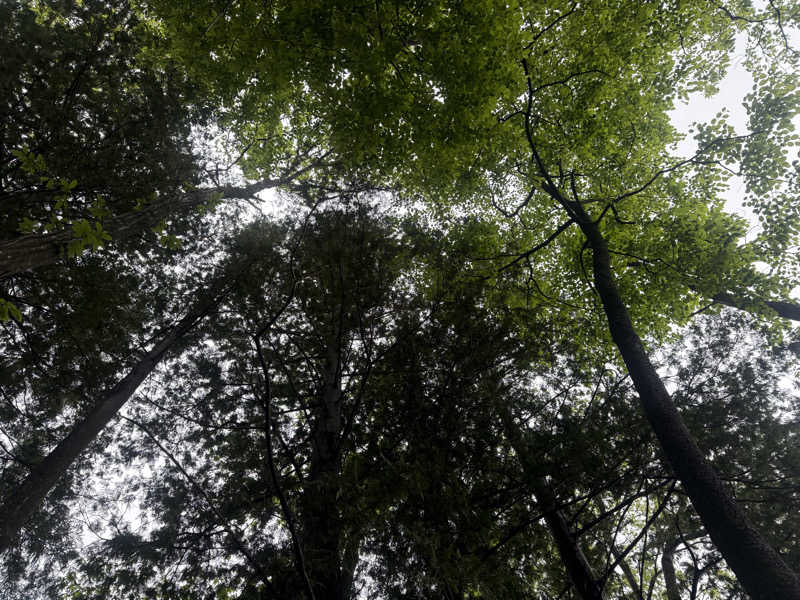 sauさんのNASU IONO CAMPSITEのサ活写真