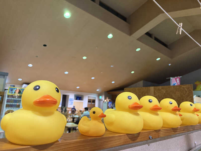 sauさんのやまの湯のサ活写真