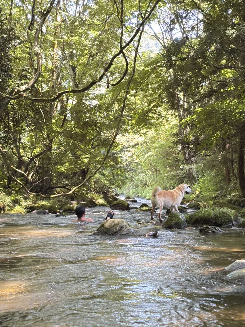 sauさんのコアミガメのサ活写真