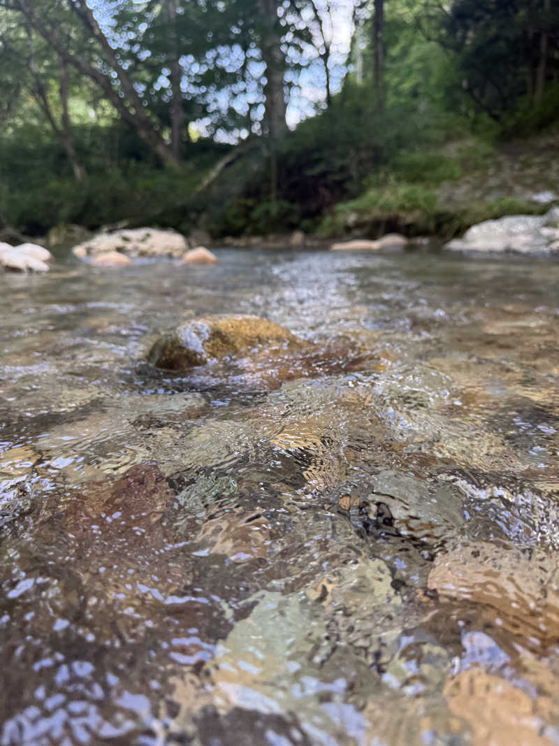 sauさんのコニファーいわびつのサ活写真