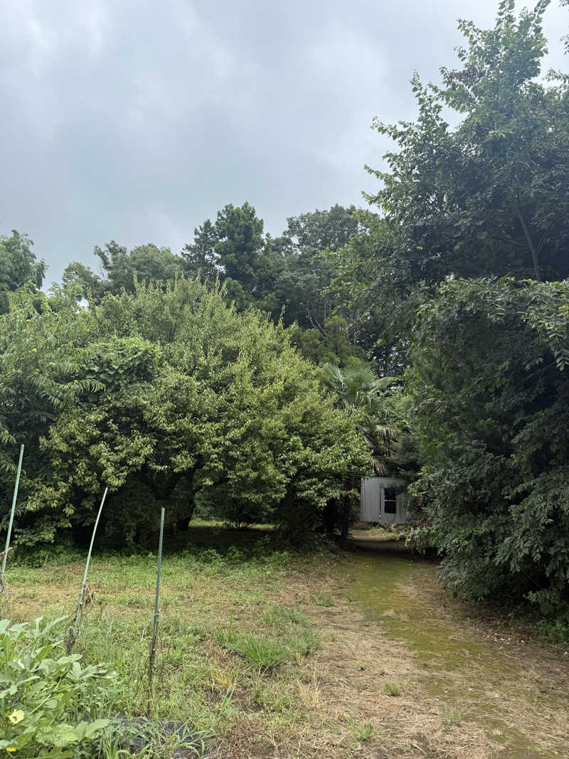 sauさんのサウナ蓑蒸のサ活写真