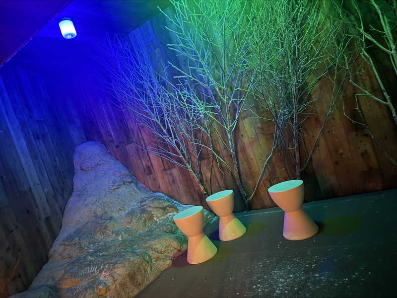 sauさんのForest House (ウェルビー栄 女性専用エリア)のサ活写真