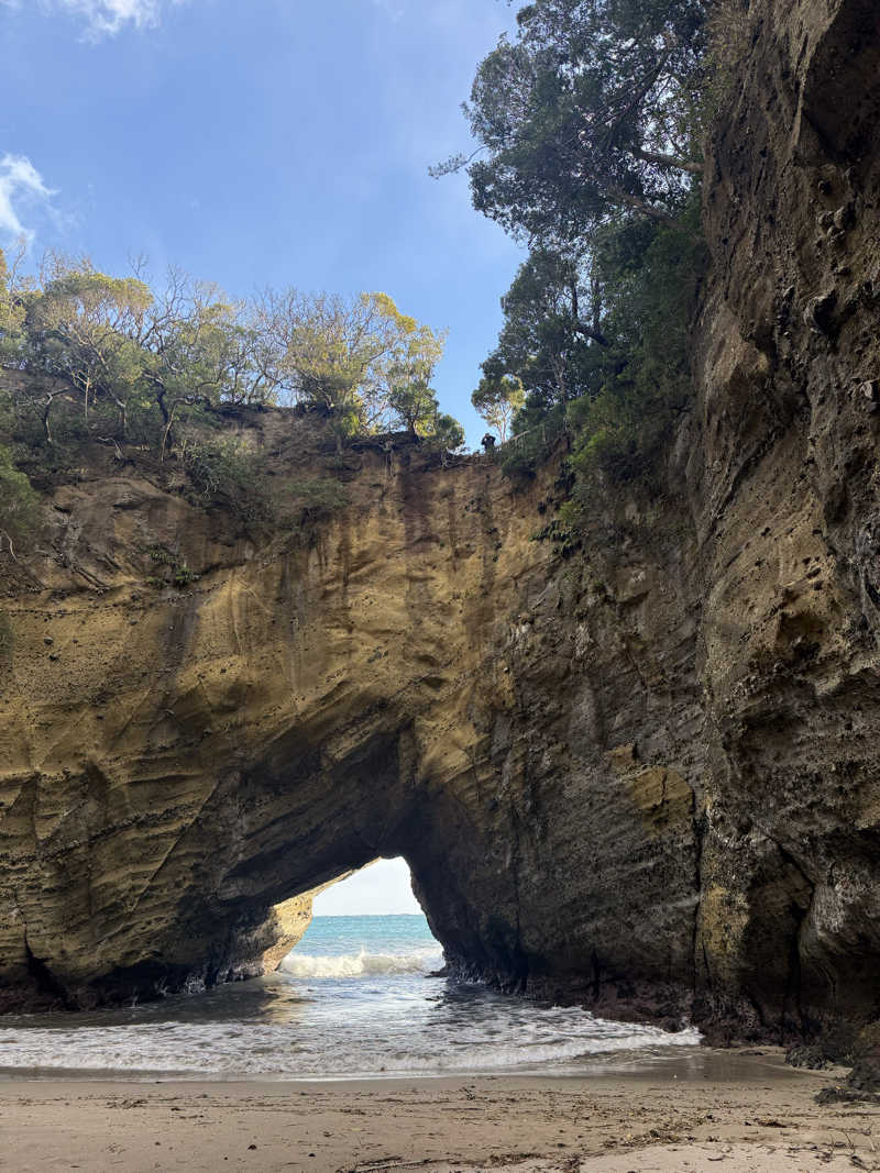 sauさんのSauna HealingDragon ヒーリングドラゴンのサ活写真