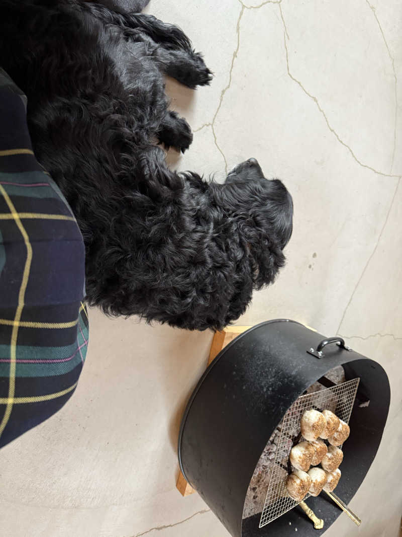 sauさんのサウナ民泊こちやのサ活写真