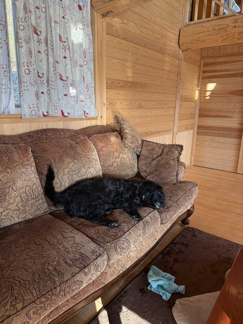 sauさんのサウナ民泊こちやのサ活写真