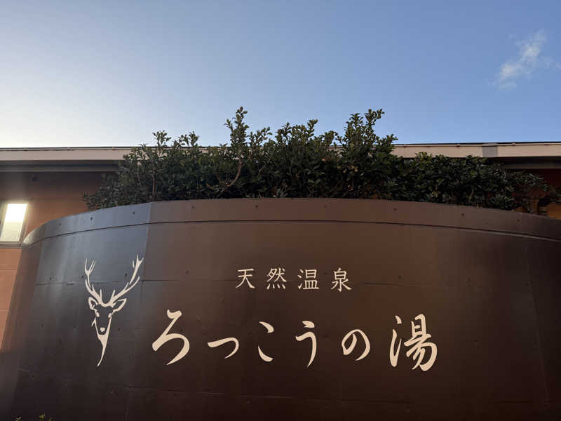 sauさんの天然温泉ろっこうの湯のサ活写真