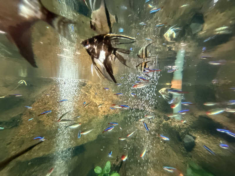sauさんのおふろcafé りんねの湯のサ活写真