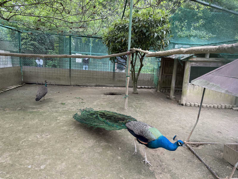 sauさんのおふろcafé りんねの湯のサ活写真