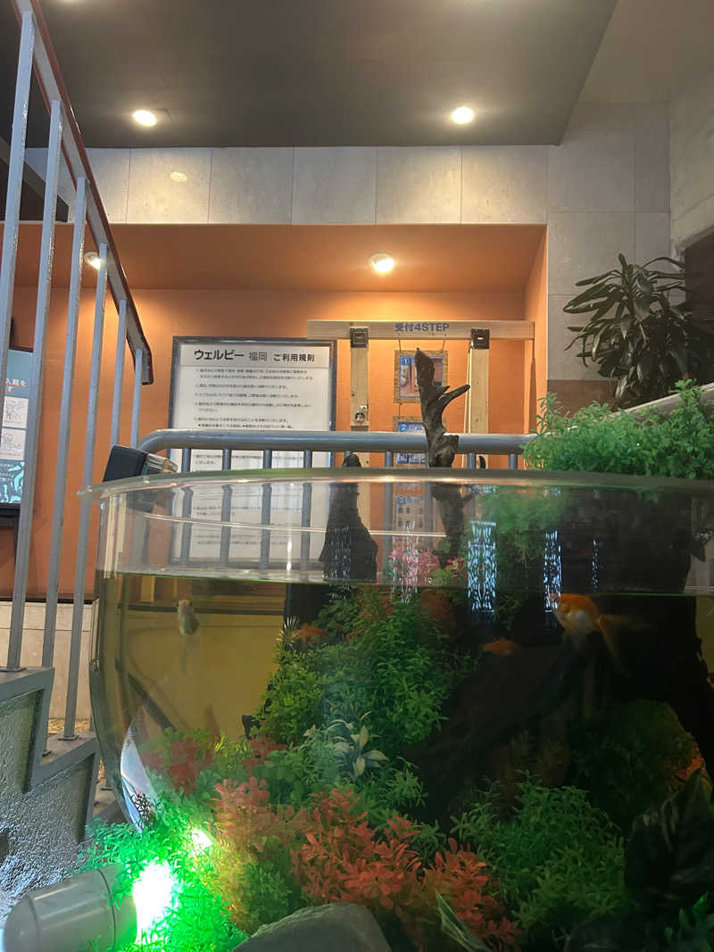 まっちゃん@冷冷交代浴さんのウェルビー福岡のサ活写真