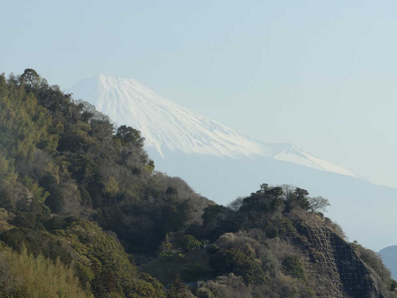 ASOboyoさんの駿河健康ランドのサ活写真