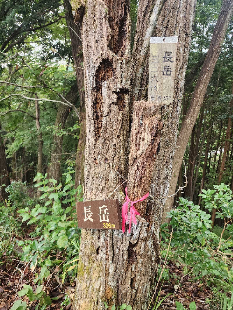 ムッシュ腰痛さんの秋川渓谷 瀬音の湯のサ活写真