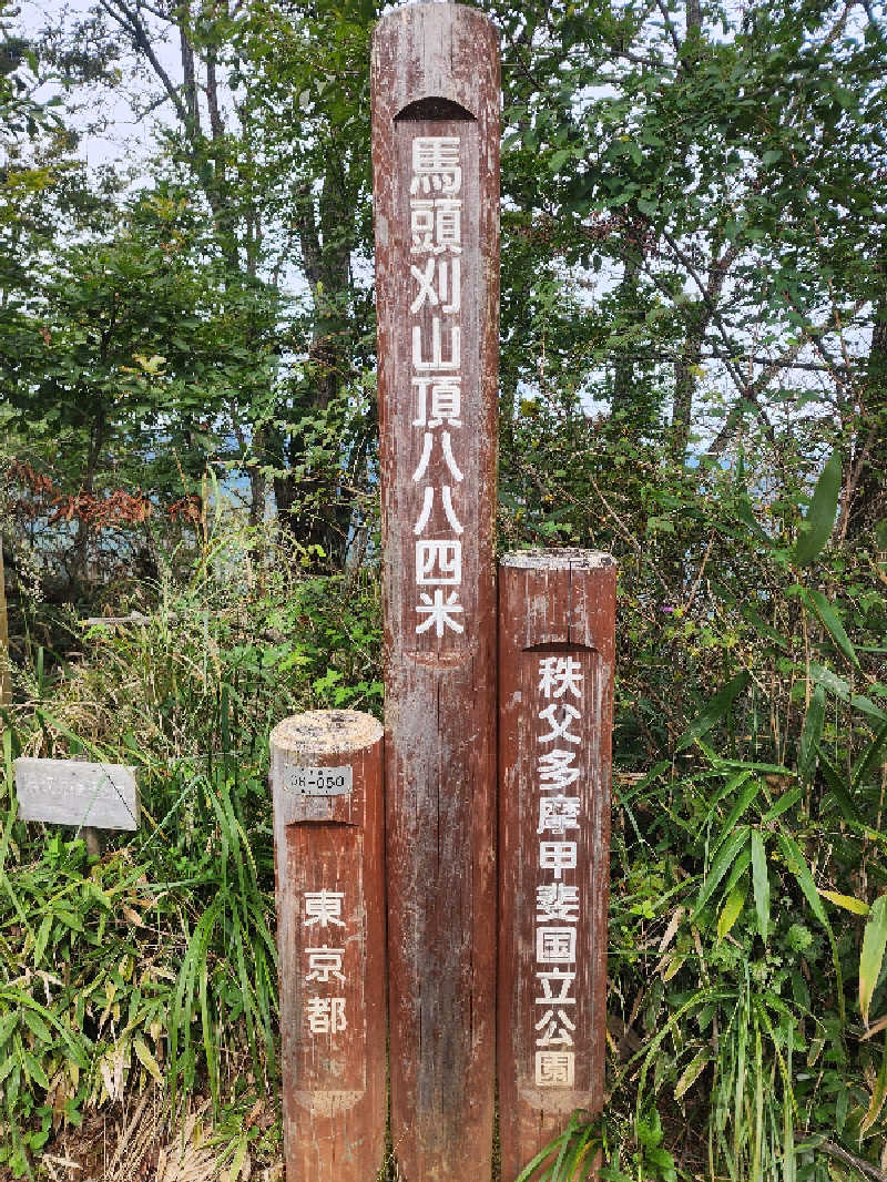 ムッシュ腰痛さんの秋川渓谷 瀬音の湯のサ活写真