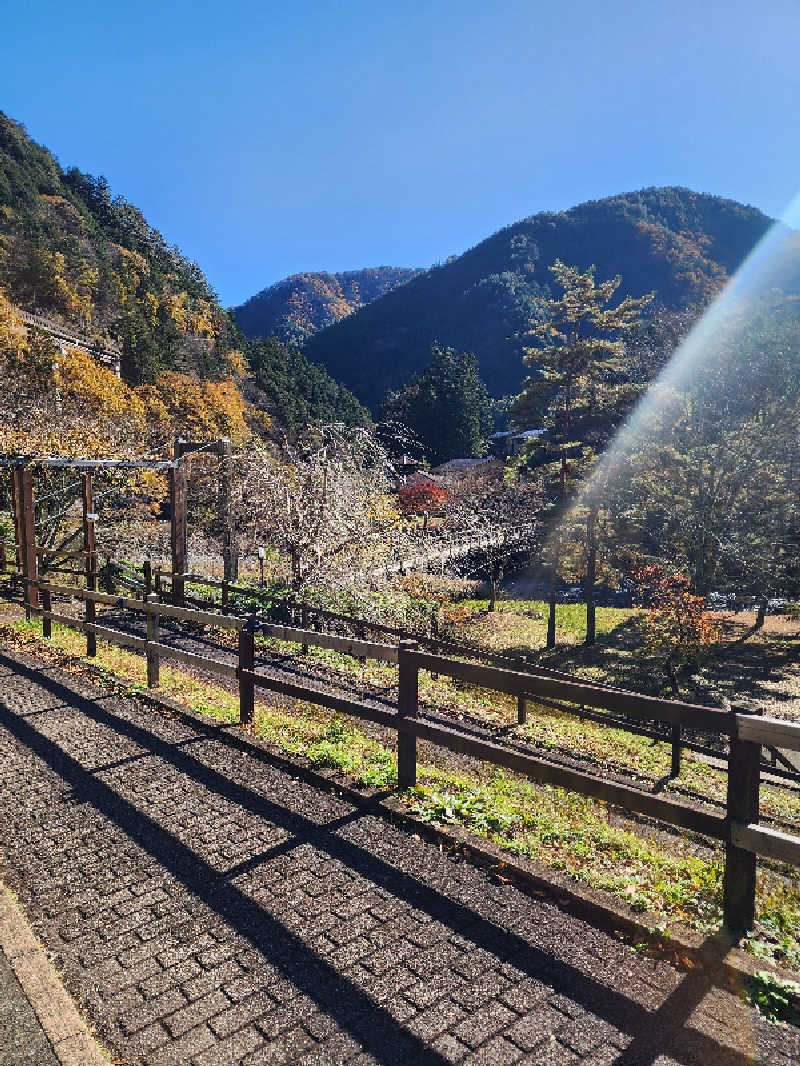 ムッシュ腰痛さんののめこい湯のサ活写真