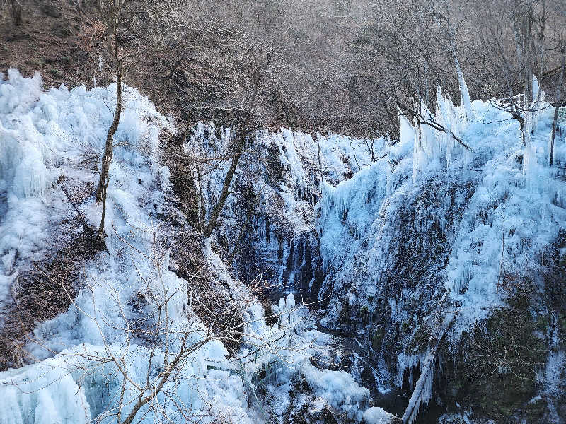 ムッシュ腰痛さんの天然自家源泉 星音の湯のサ活写真